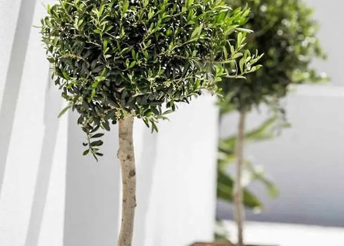 Anthos Kerasia * Γεννάδι